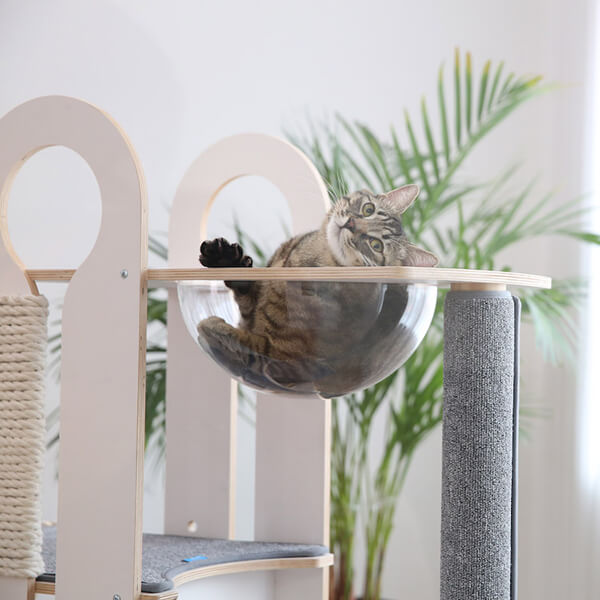 Milo Cat Tree: A Thousand Dollar Cat Tower