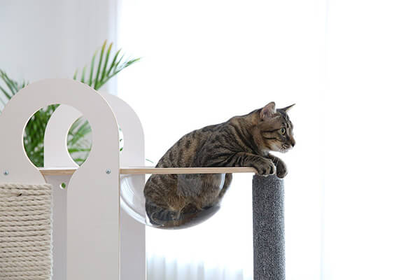 Milo Cat Tree: A Thousand Dollar Cat Tower
