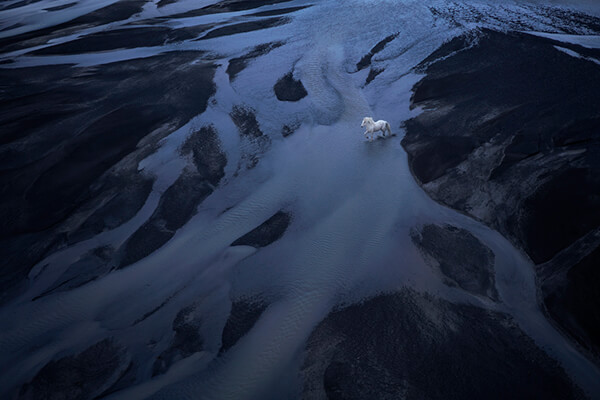 Fairytale-Like Icelandic horses Who Roam Iceland’s Epic Landscape