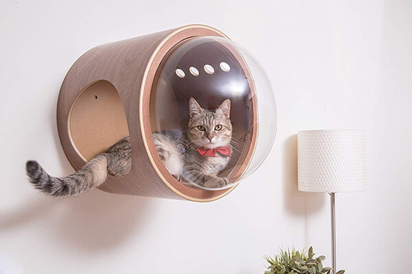 Luxury Cat Furniture from MyZoo