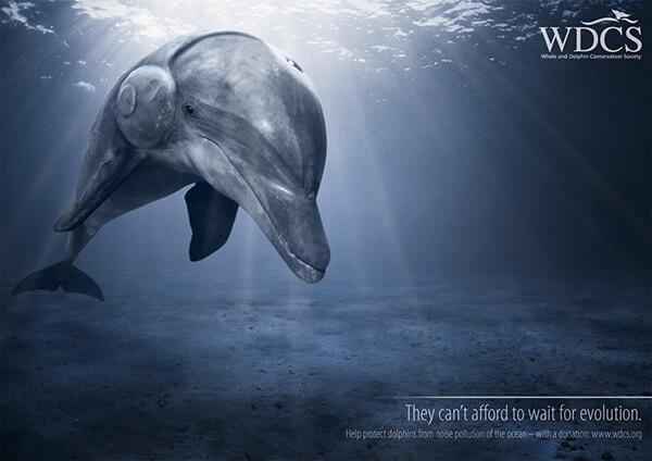 Powerful Print Advertisement About Ocean Protection