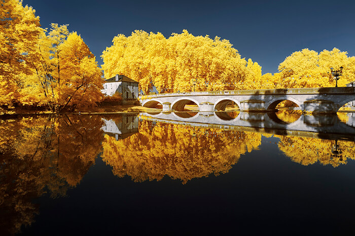 Infrared Photographs in Bright Yellow Hues by Pierre-Louis Ferrer
