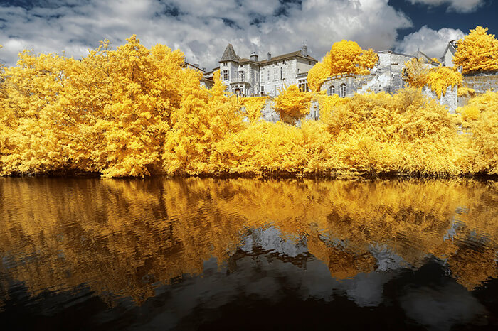 Infrared Photographs in Bright Yellow Hues by Pierre-Louis Ferrer