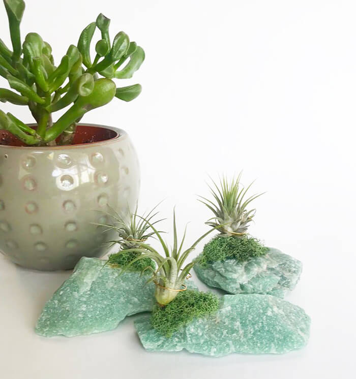 Unique Handcrafted Planters That Almost Everyone Will Love