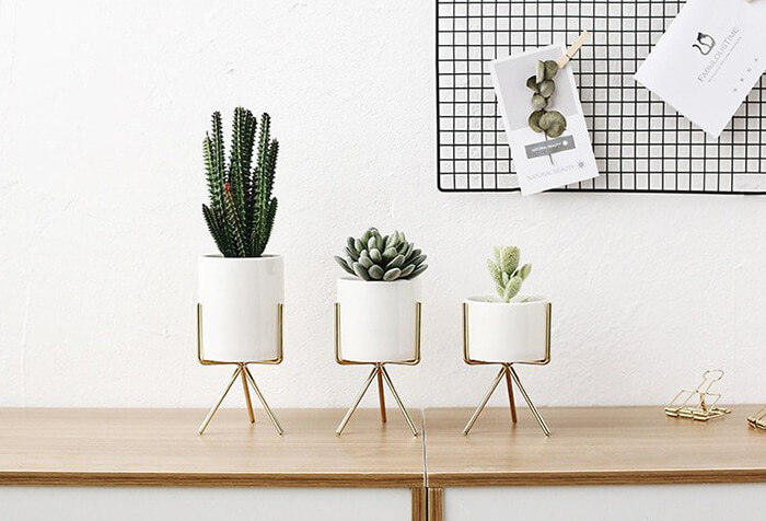 Unique Handcrafted Planters That Almost Everyone Will Love