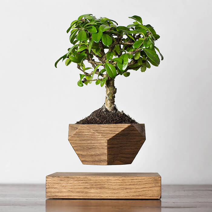 Unique Handcrafted Planters That Almost Everyone Will Love