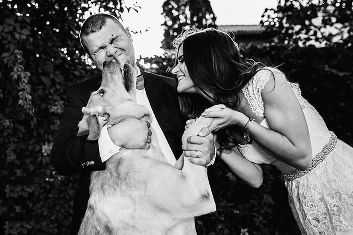 20 Best Wedding Photos Prove You Do Need a Good Photographer For the Special Moment