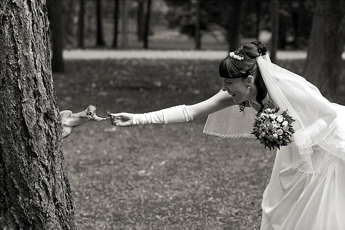 20 Best Wedding Photos Prove You Do Need a Good Photographer For the Special Moment