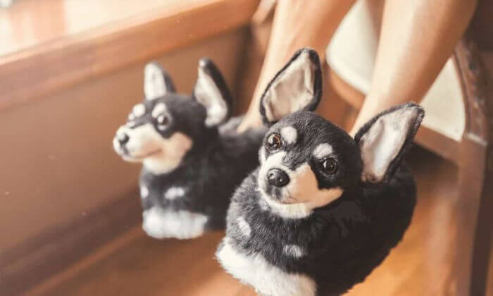 Plush Slippers: Pricey Slippers That Assemble Your Pet from Head to Paw