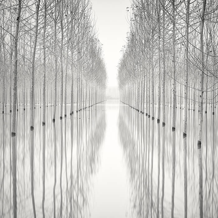Stunning Black and White Winter Landscape Photography by Pierre Pellegrini