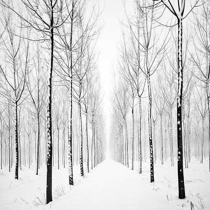 Stunning Black and White Winter Landscape Photography by Pierre Pellegrini