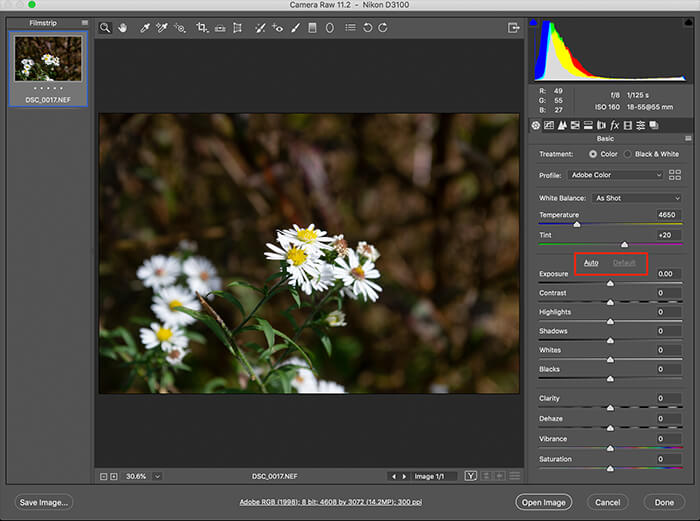 The Beginner's Guide to Learning Photoshop