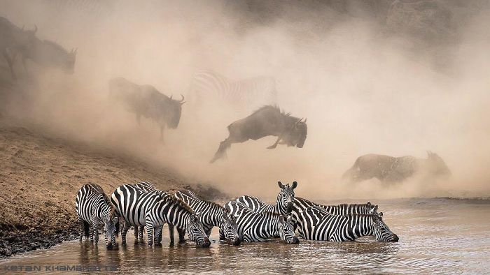 Amaizing Photos From National Geographic Instagram Photography Contest