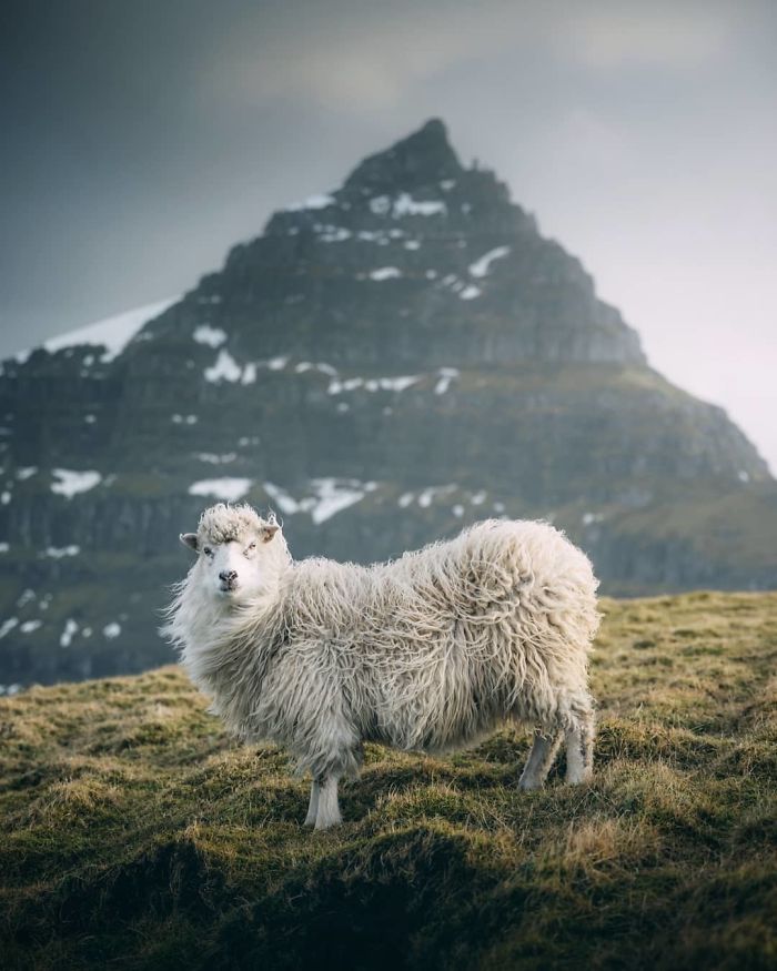 Amaizing Photos From National Geographic Instagram Photography Contest