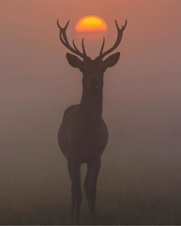 Amaizing Photos From National Geographic Instagram Photography Contest