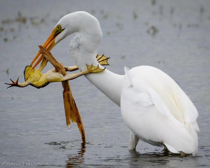 Amaizing Photos From National Geographic Instagram Photography Contest