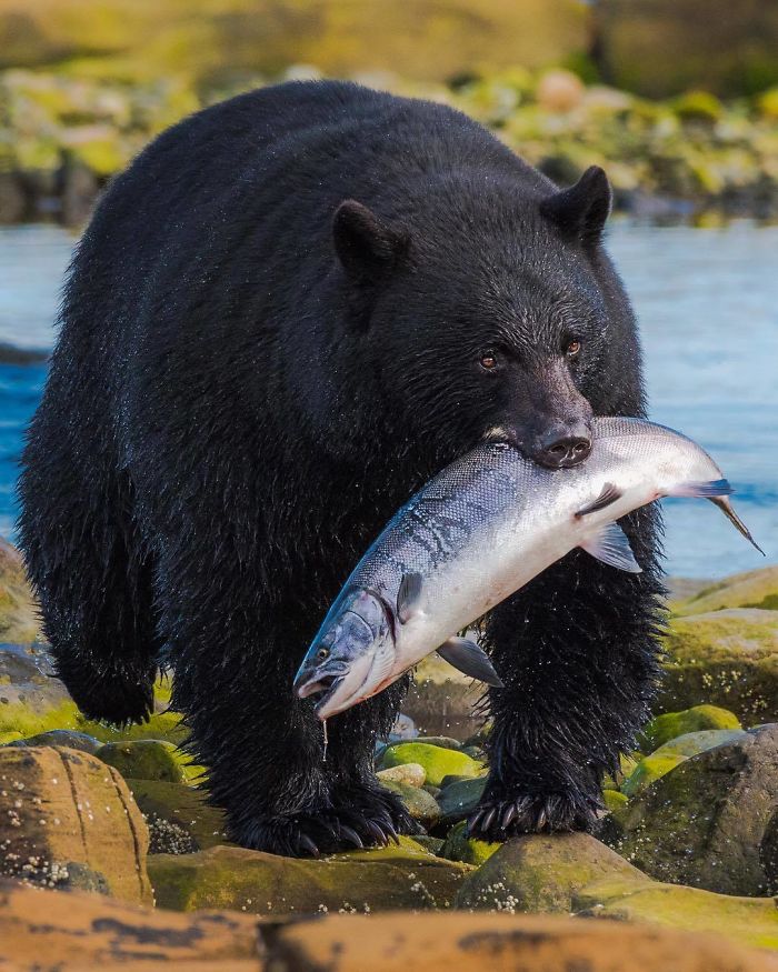 Amaizing Photos From National Geographic Instagram Photography Contest