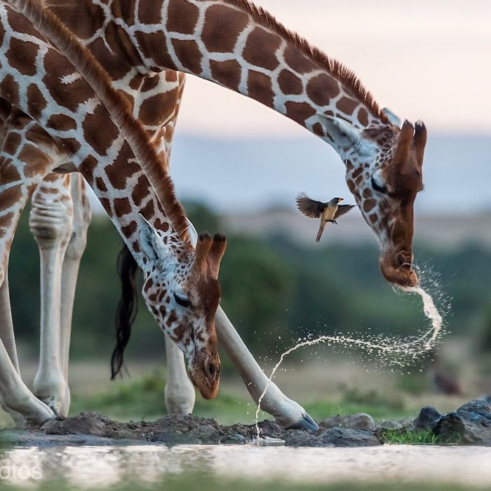 Amaizing Photos From National Geographic Instagram Photography Contest