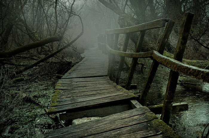 A Trail To Mordor: Terrifying Hidden Forest Path
