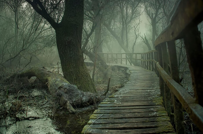 A Trail To Mordor: Terrifying Hidden Forest Path