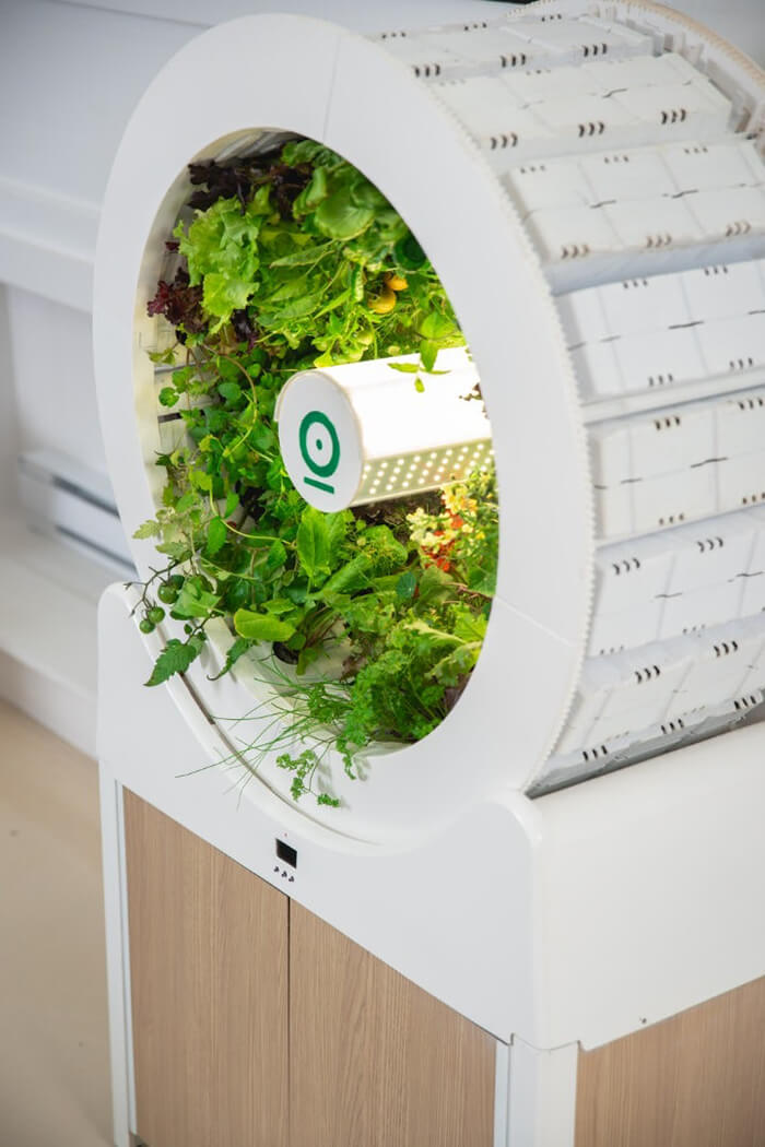 OGarden: An Innovative Self-Watering Indoor Garden Allows You Grow 90 Fruits and Veggies At One Time