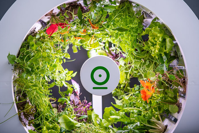 OGarden: An Innovative Self-Watering Indoor Garden Allows You Grow 90 Fruits and Veggies At One Time