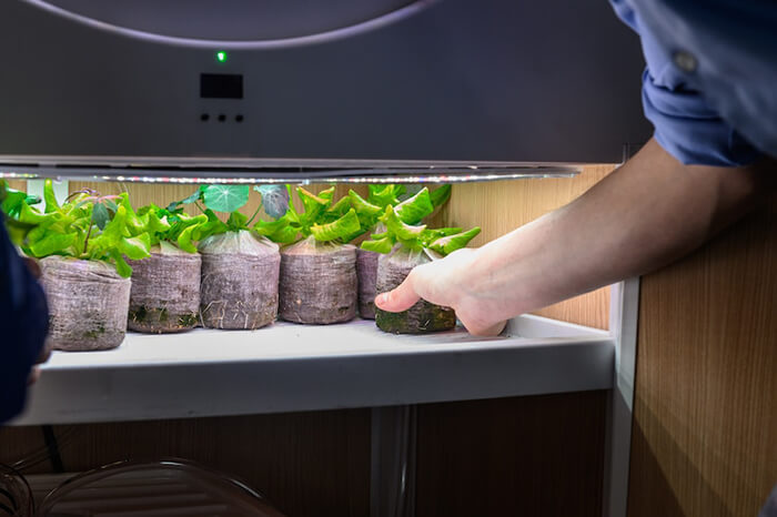 OGarden: An Innovative Self-Watering Indoor Garden Allows You Grow 90 Fruits and Veggies At One Time