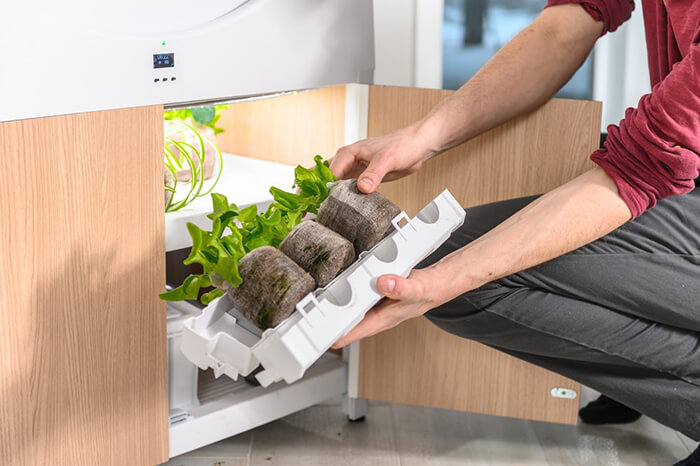 OGarden: An Innovative Self-Watering Indoor Garden Allows You Grow 90 Fruits and Veggies At One Time