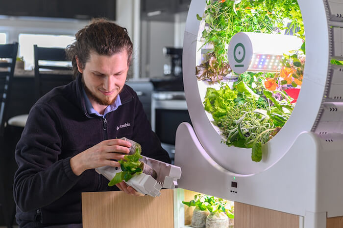 OGarden: An Innovative Self-Watering Indoor Garden Allows You Grow 90 Fruits and Veggies At One Time