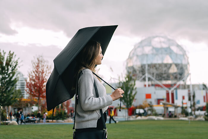 Lightweight Lifetime Umbrella for 70-MPH Winds