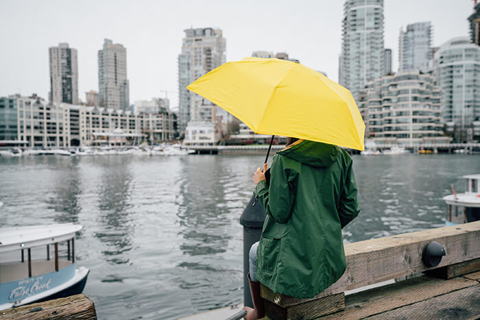 Lightweight Lifetime Umbrella for 70-MPH Winds