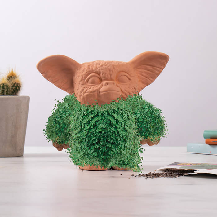 10 Playful Chia Pet Designs to Add Some Green On Your Table