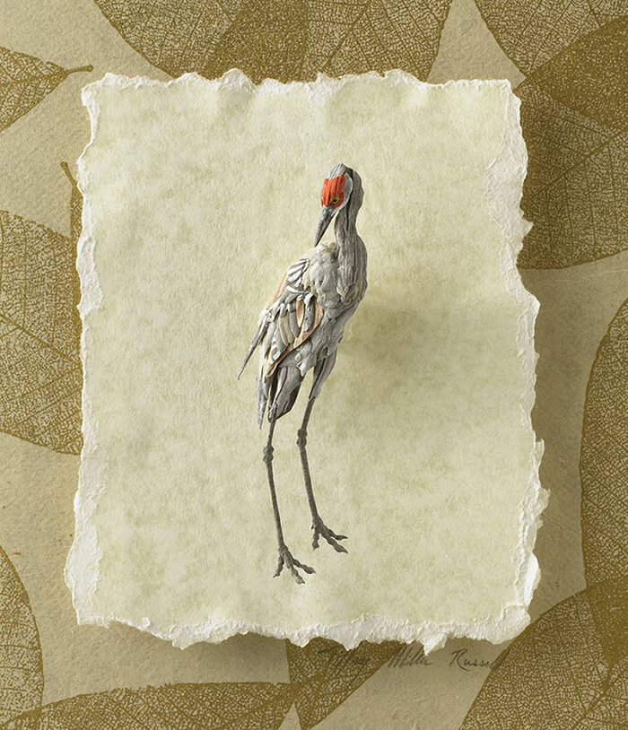 Incredible Sandhill Crane Paper Sculpture by Tiffany Miller Russell