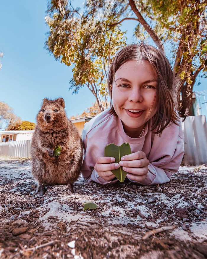 Quokka: Probably the Happiest Animal In the World