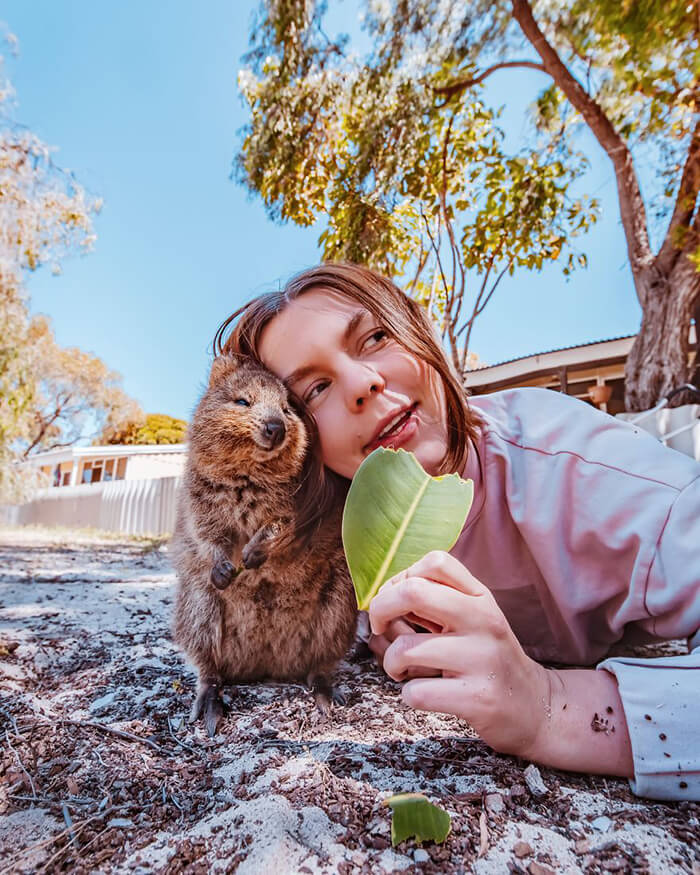 Quokka: Probably the Happiest Animal In the World