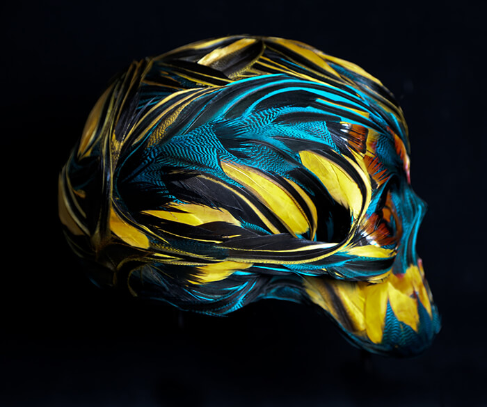 Feathered Skulls by Laurence Le Constant 