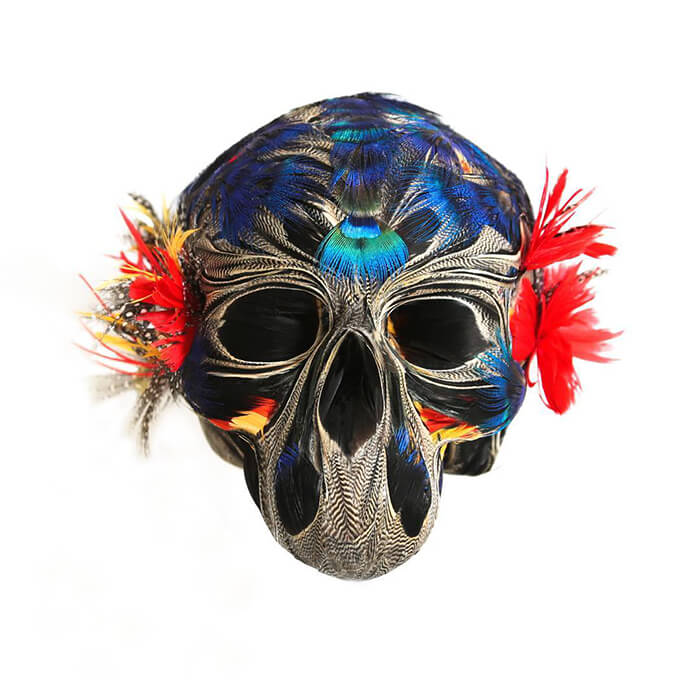 Feathered Skulls by Laurence Le Constant 