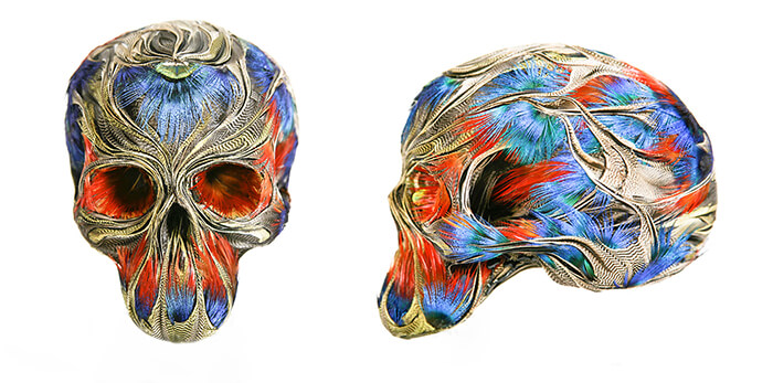 Feathered Skulls by Laurence Le Constant 