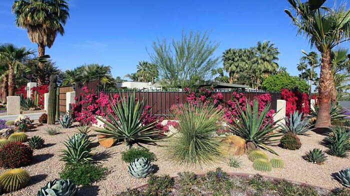 Landscape or Xeriscape? Which is Better?