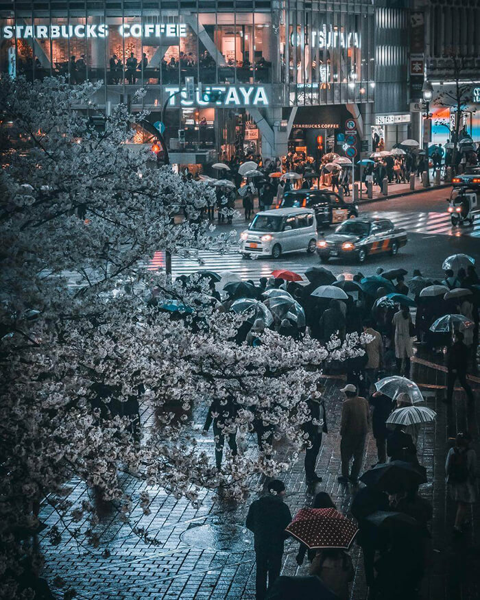 Magic Night Scenes of Japan by Photographer Jun Yamamoto