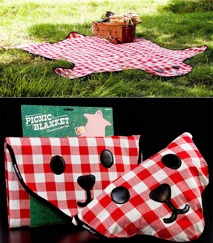 7 Must-Have Accessories Help You Enjoy Your Picnic Time