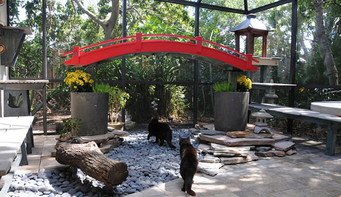 Japanese Cat Garden: an Incredible Catio Beyond the Imagination