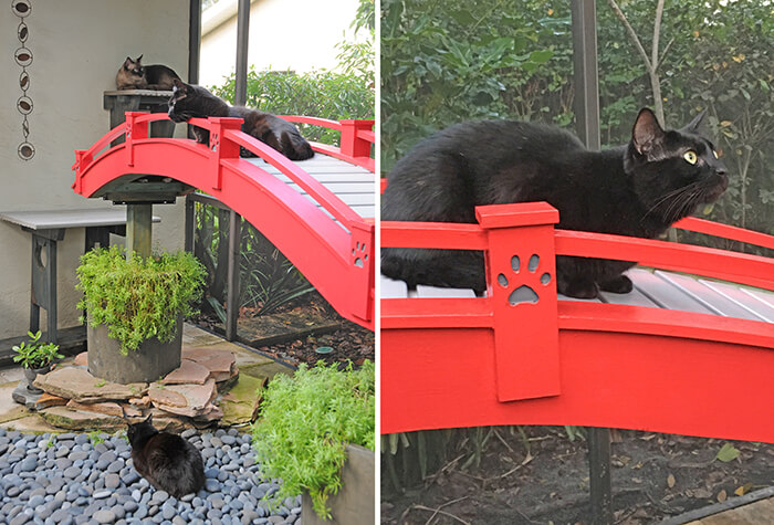 Japanese Cat Garden: an Incredible Catio Beyond the Imagination