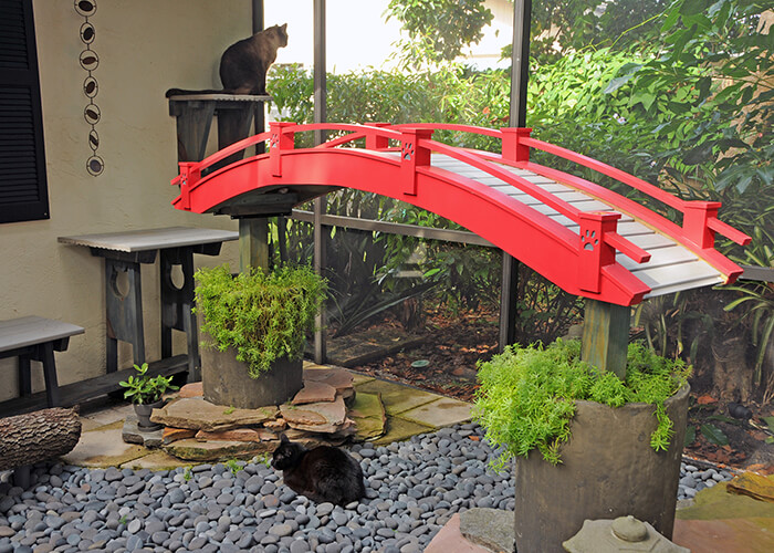 Japanese Cat Garden: an Incredible Catio Beyond the Imagination