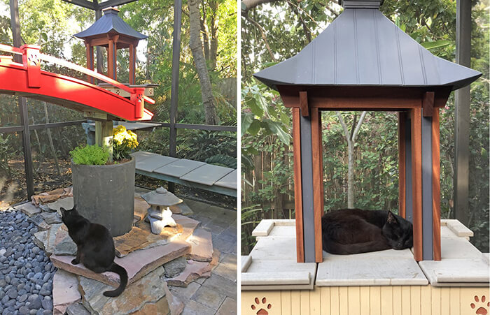 Japanese Cat Garden: an Incredible Catio Beyond the Imagination