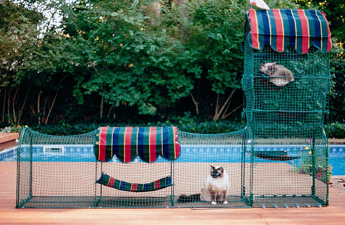 Japanese Cat Garden: an Incredible Catio Beyond the Imagination