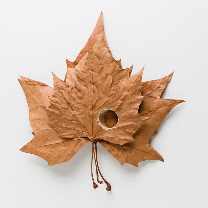 Stunning Crocheted Leaf Sculpture by Susanna Bauer