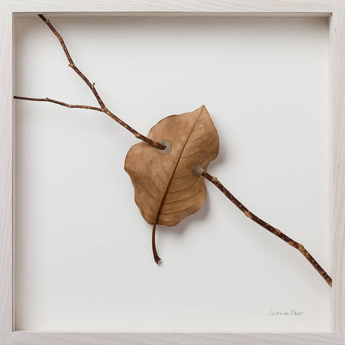 Stunning Crocheted Leaf Sculpture by Susanna Bauer