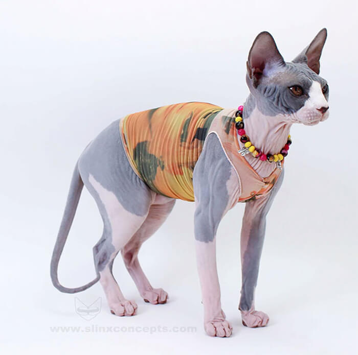 Unusual Tattoo Sleeves for Sphynx Cat 