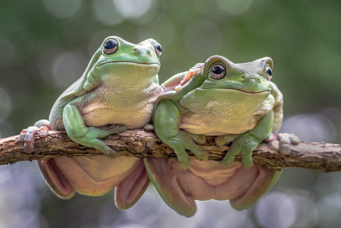 What Love Means: The world's best photos of #Love2019 by AGORA images